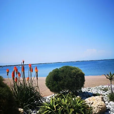 Palmyra - 2 Pieces Au Rez-de-chaussee A - Cap Coudalere Mae-8004 Apartmán *